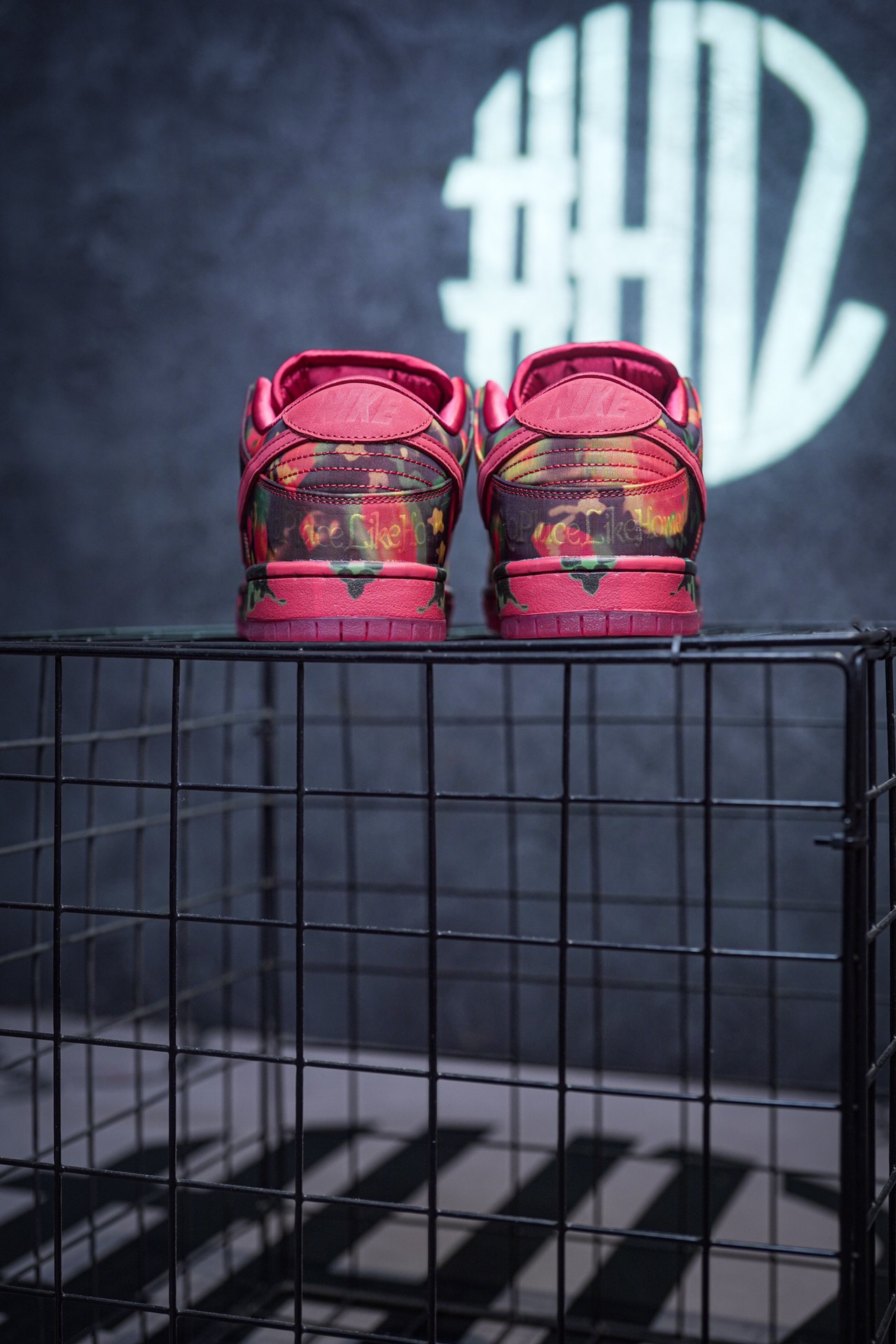 The Wizard of Oz x NIKE SB Dunk Low "Ruby Slipper"