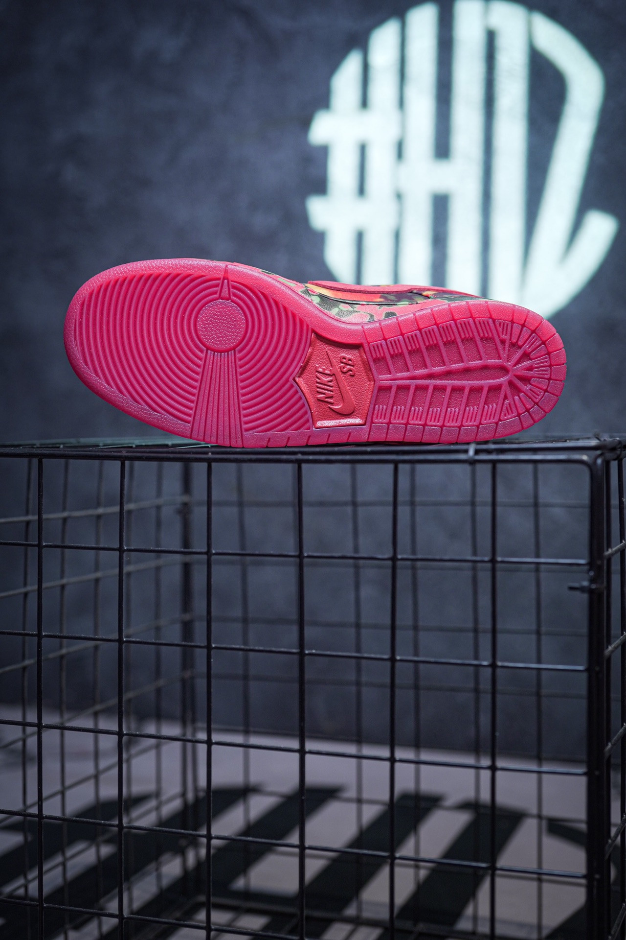 The Wizard of Oz x NIKE SB Dunk Low "Ruby Slipper"