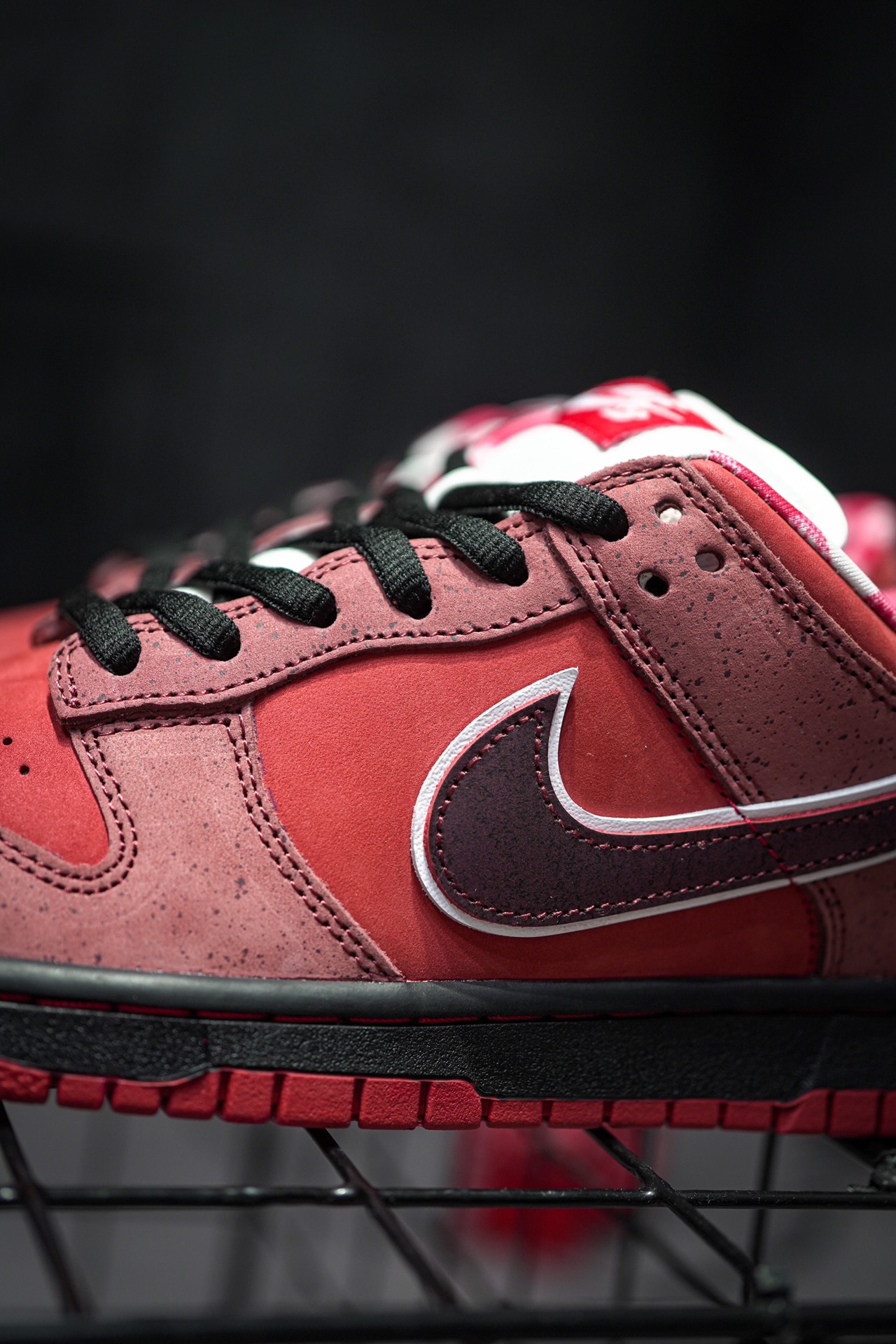 Concepts x NIKE SB Dunk Low Red Lobster