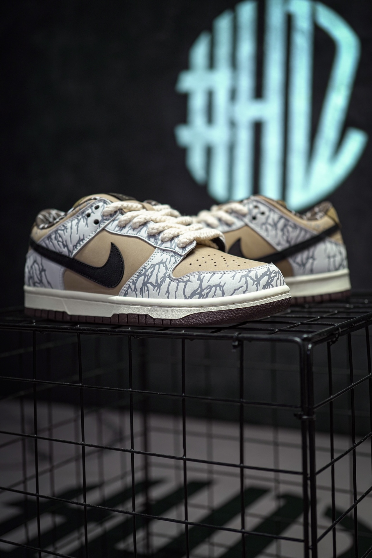 TS x NIKE SB Dunk Low