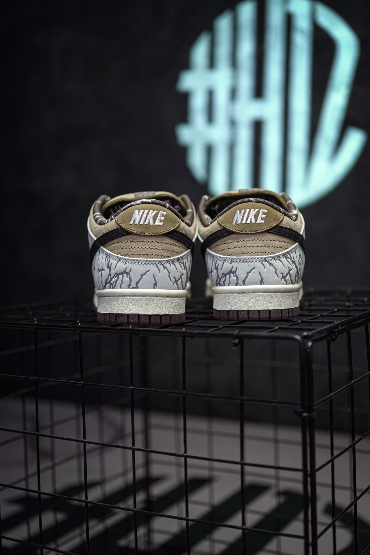 TS x NIKE SB Dunk Low