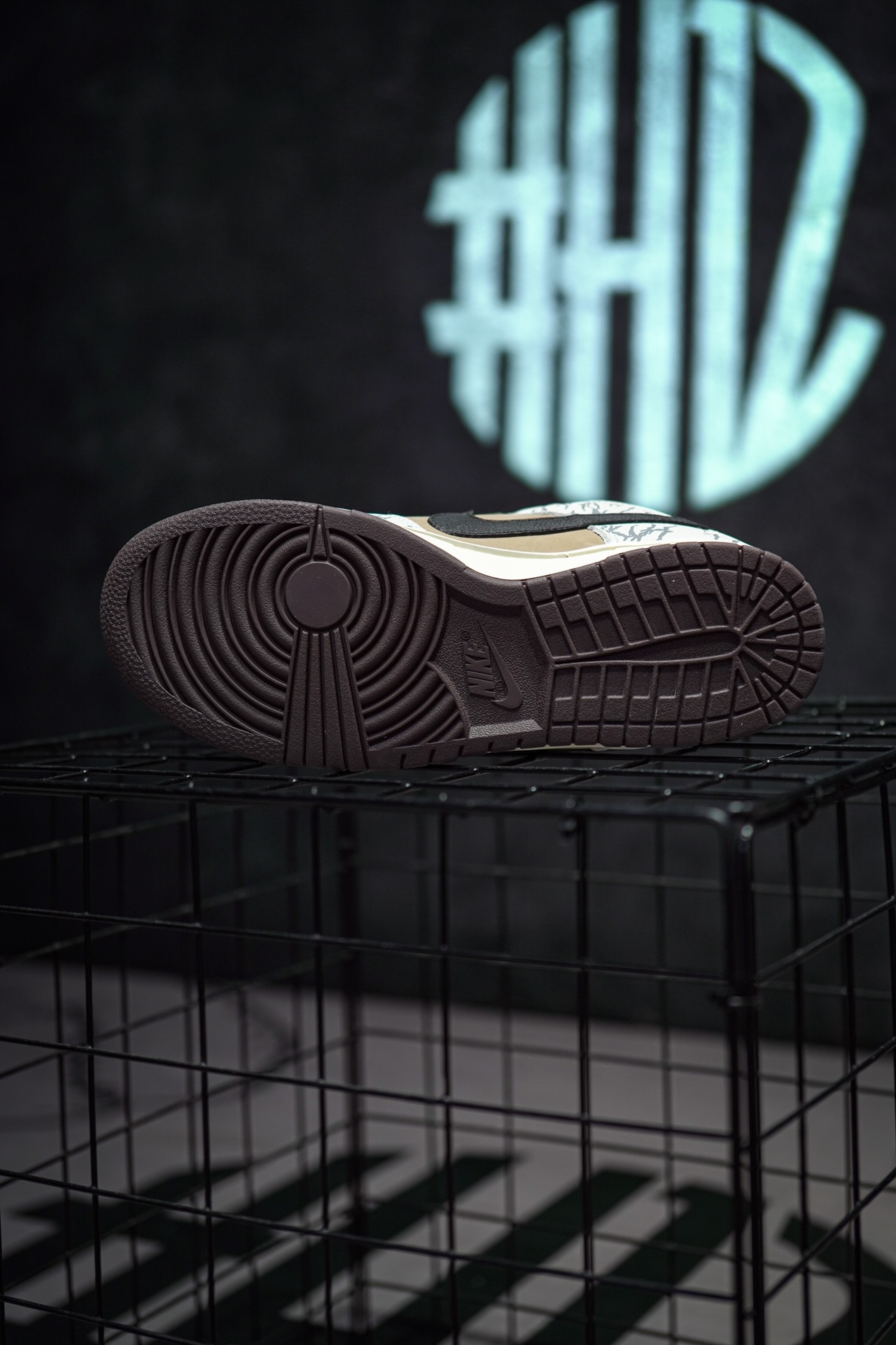 TS x NIKE SB Dunk Low