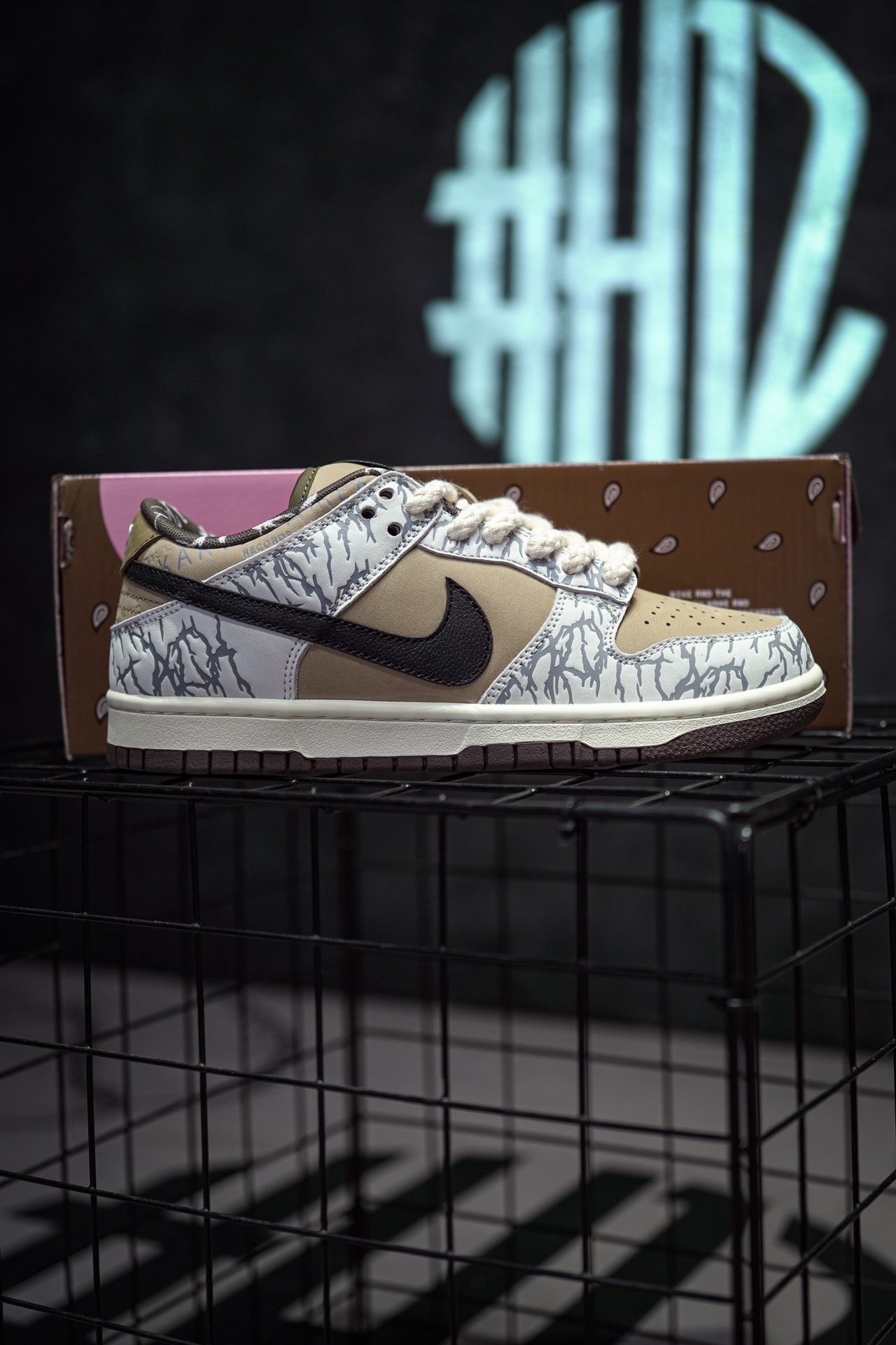 TS x NIKE SB Dunk Low