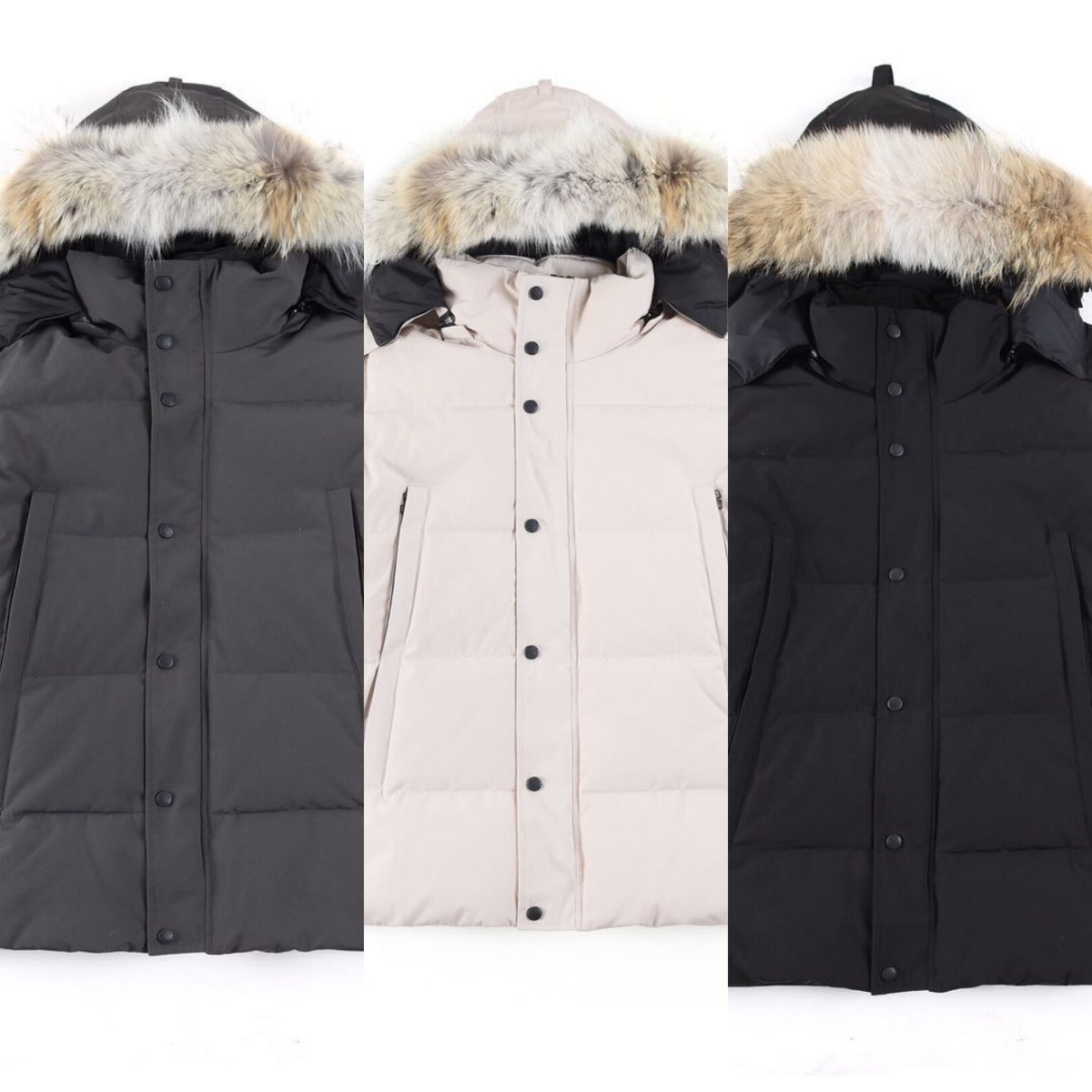CANADA GOOSE Wyndham 388M classic parka down jacket for men and women.
