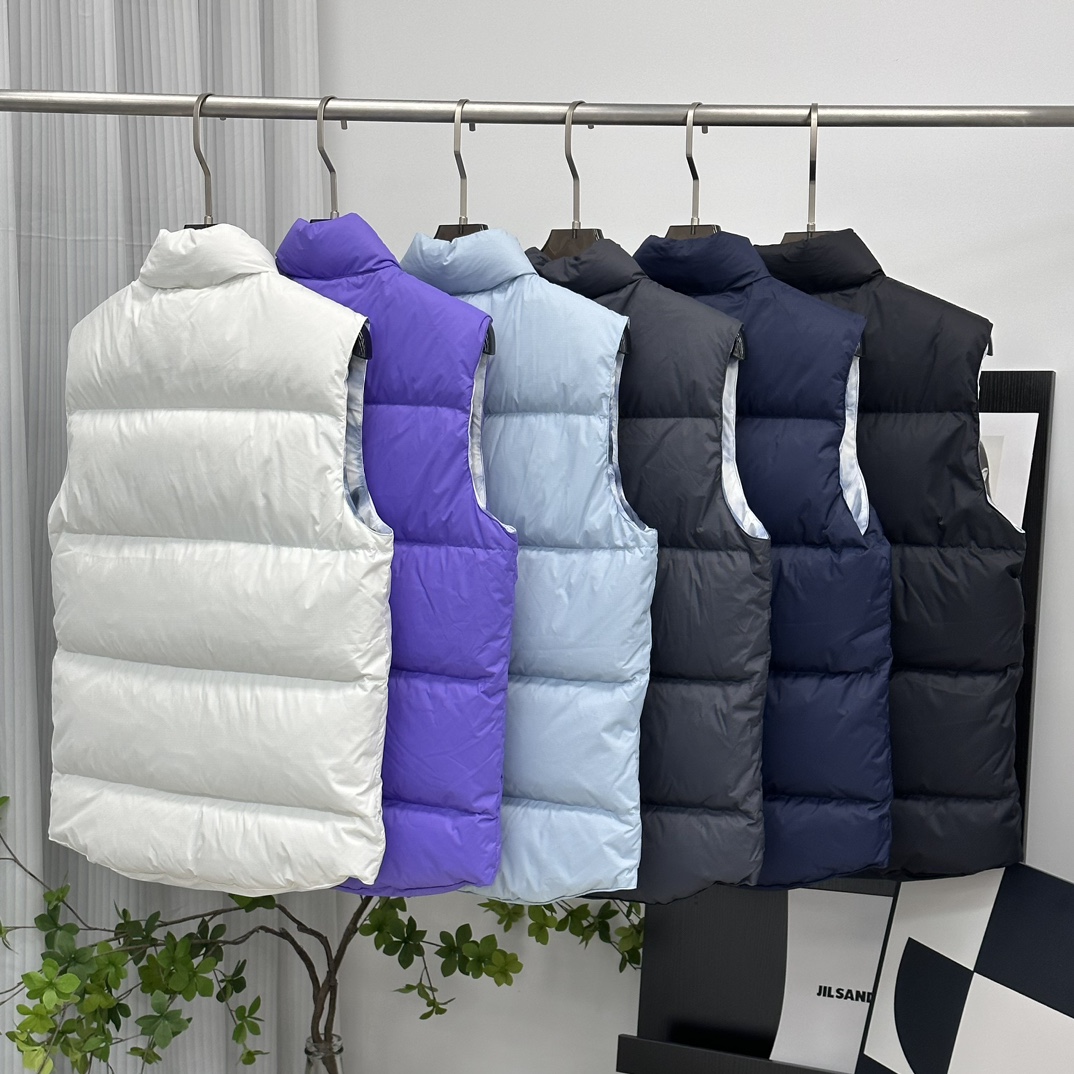 Canada Goose Northern Lights