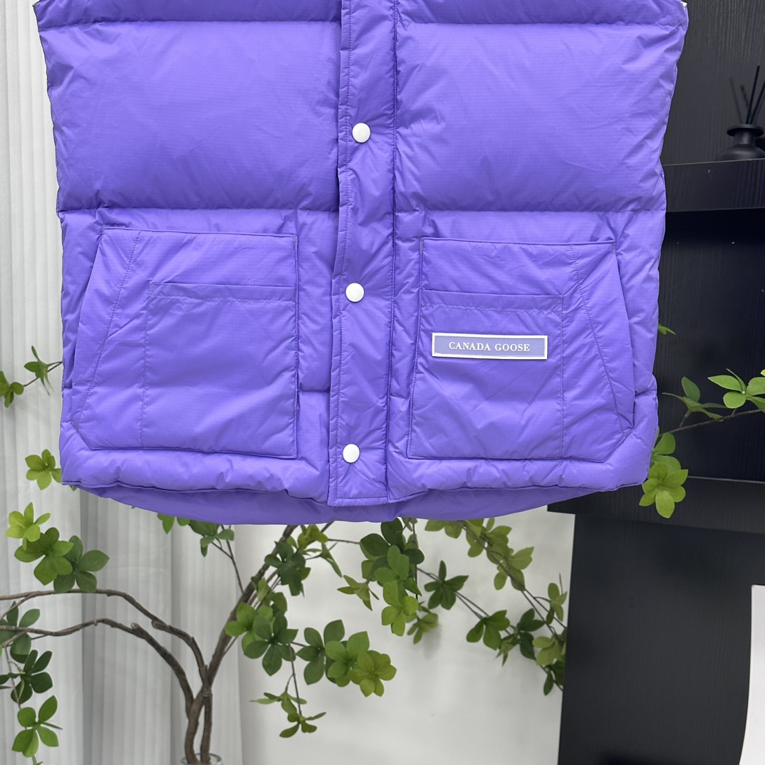 Canada Goose Northern Lights