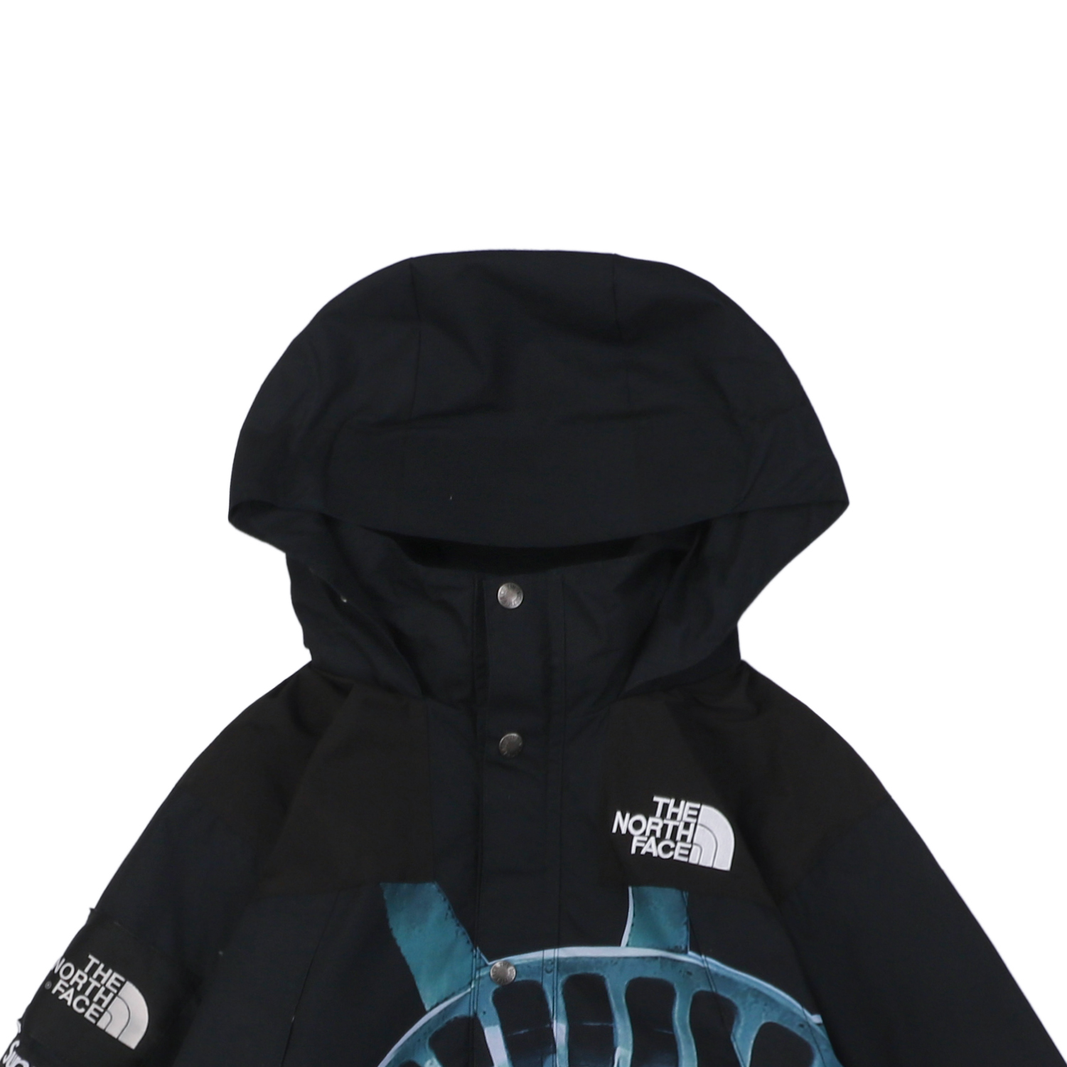 The North Face x Supreme