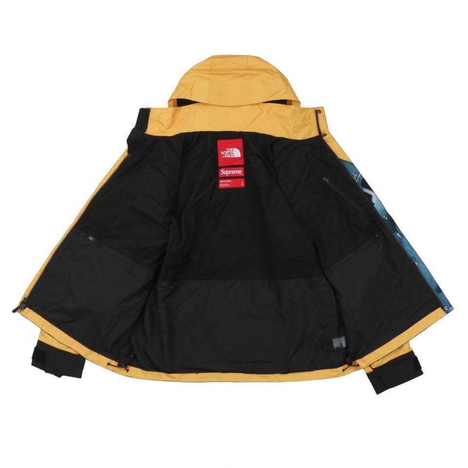 The North Face x Supreme