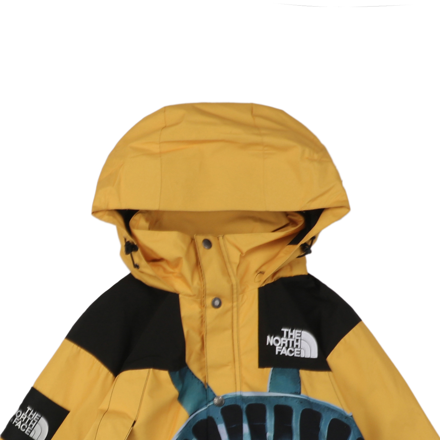 The North Face x Supreme