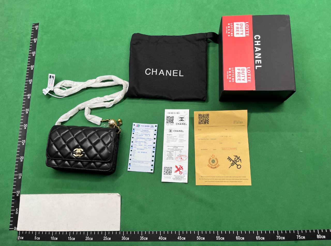 Chanel 25P Kelly Handbag [40 styles]