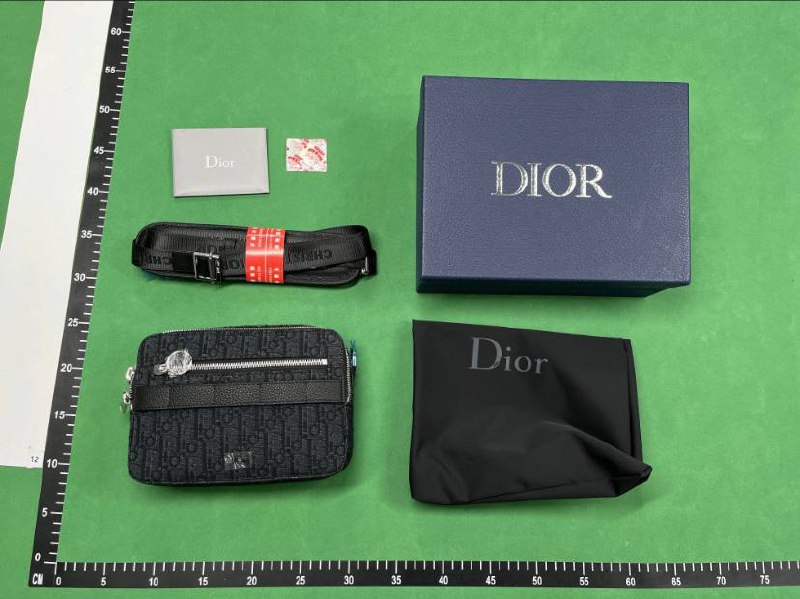 Dior Oblique Saddle Bag [40 styles]
