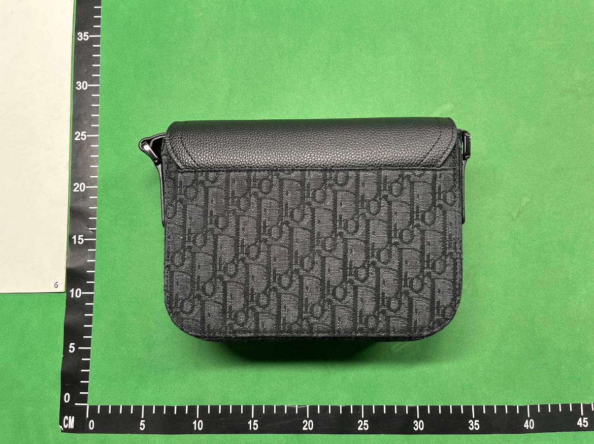 Dior Oblique Saddle Bag [40 styles]