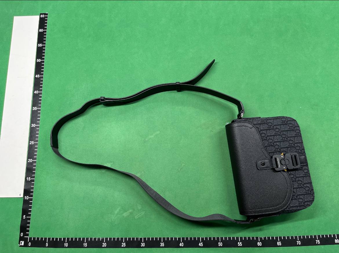 Dior Oblique Saddle Bag [40 styles]