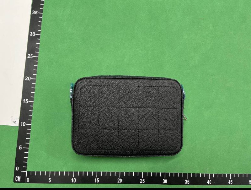 Dior Oblique Saddle Bag [40 styles]