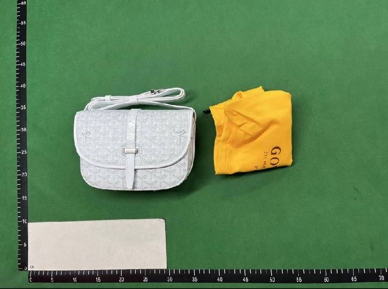 Goyard Saint Louis PM Shoulder Bag [27 styles]