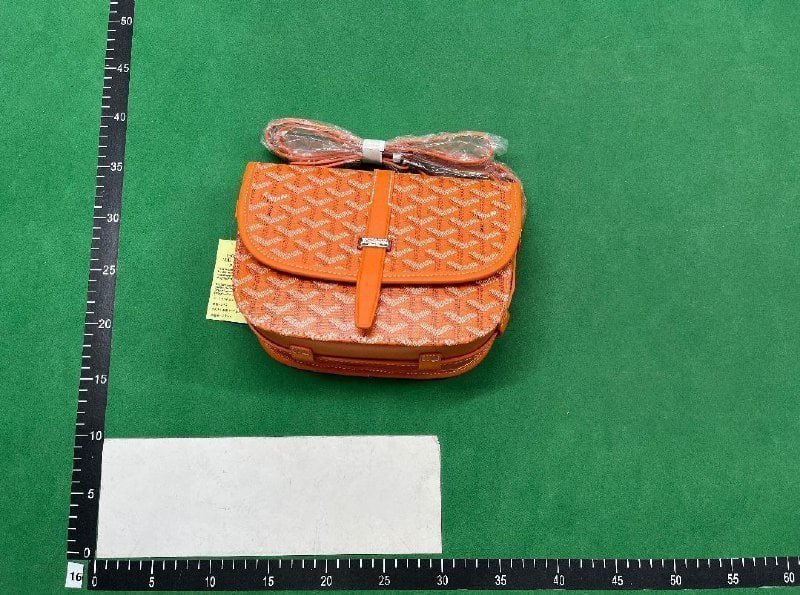 Goyard Saint Louis PM Shoulder Bag [27 styles]