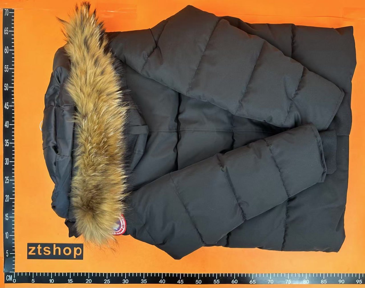 Canada Goose Down Jacket [2 styles]