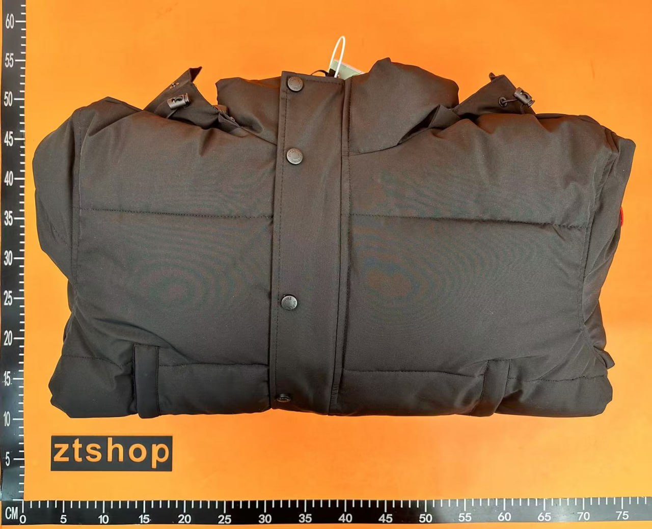 Canada Goose Down Jacket [2 styles]