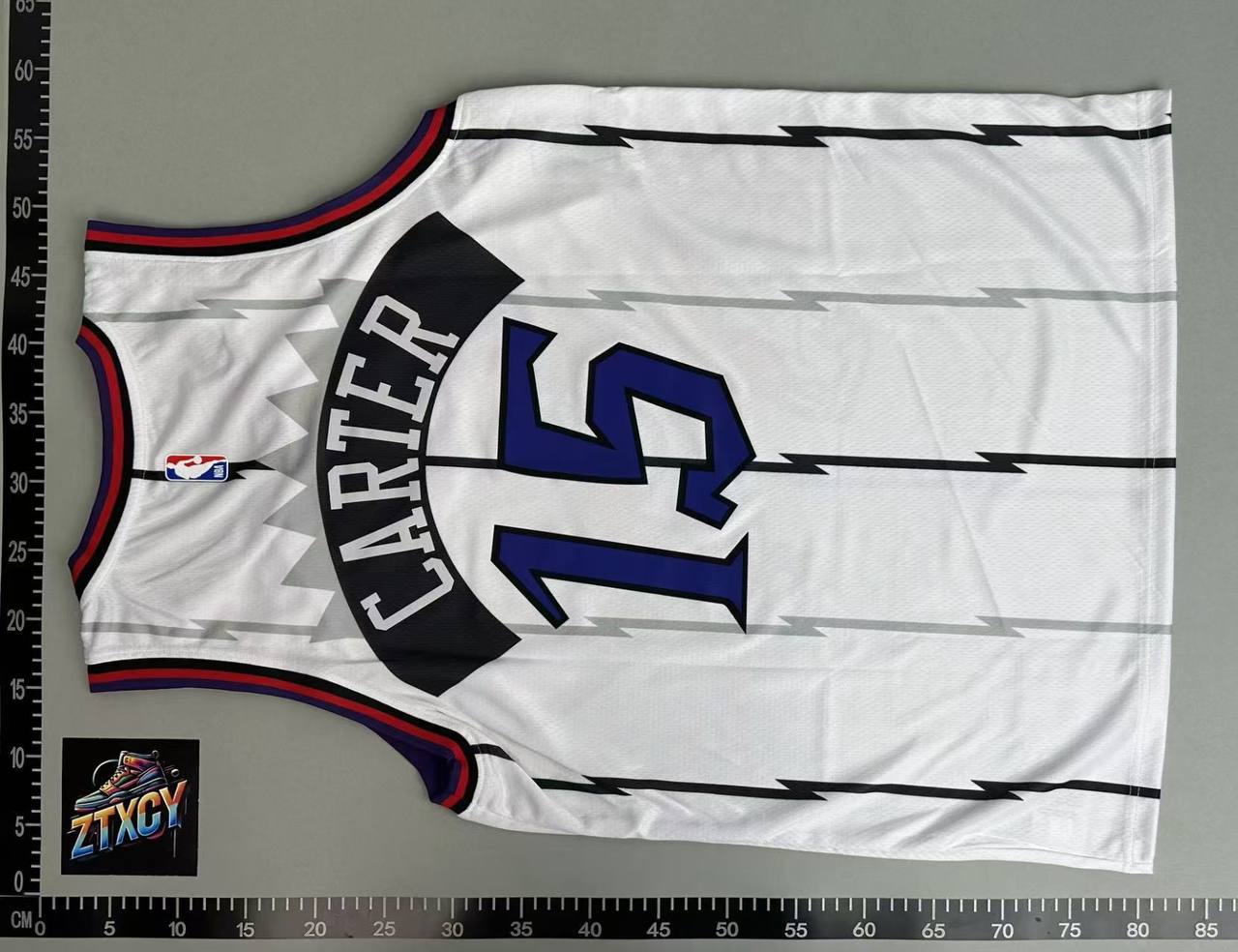 Toronto Raptors Vintage Basketball Jersey [14 styles]
