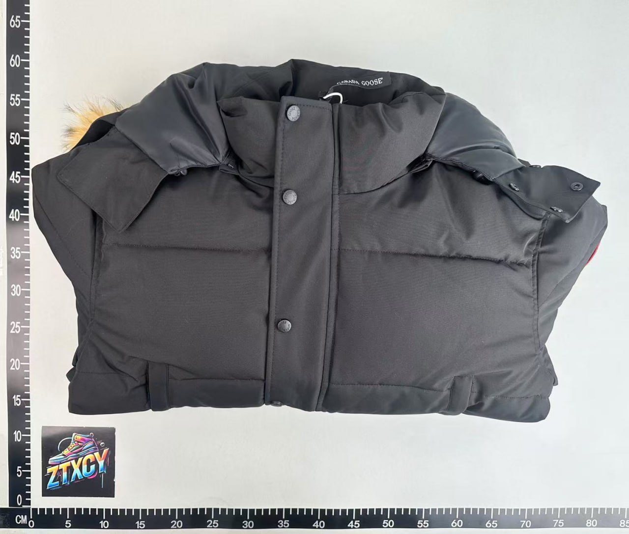 Canada Goose Down Jacket [2 styles]