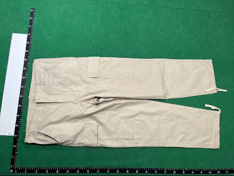 Carhartt Work In Progress Cargo Pants [4 styles]