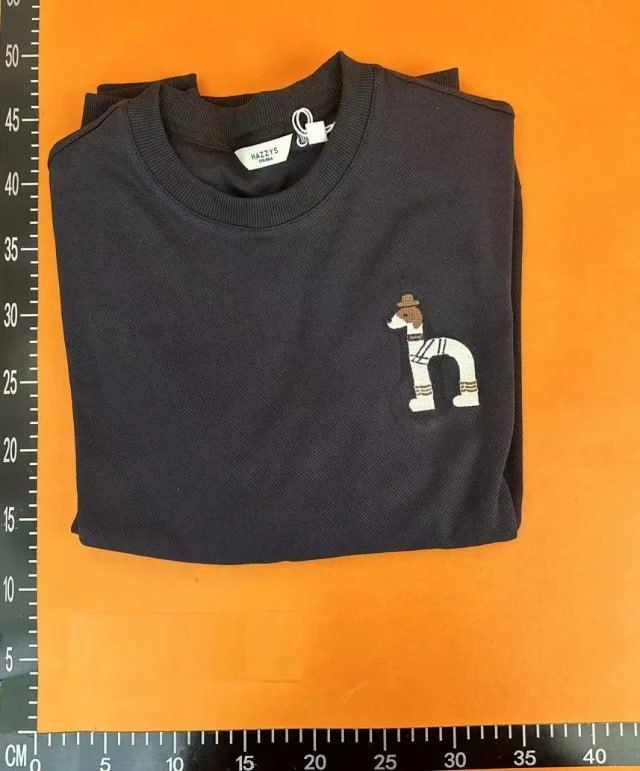 HAZZYS Embroidered 'h' Crewneck Sweatshirts [4 styles]